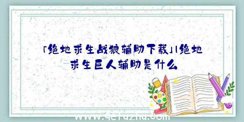 「绝地求生战狼辅助下载」|绝地求生巨人辅助是什么